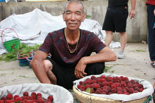 江苏旅游美食推荐