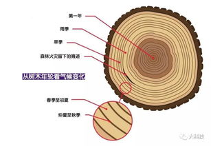 银杏教育盘中异动股价大涨%报港元