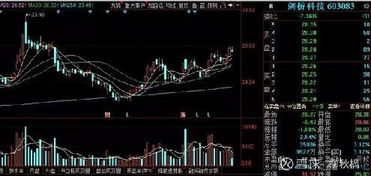 海天瑞声：名高管拟合计减持公司不超过万股