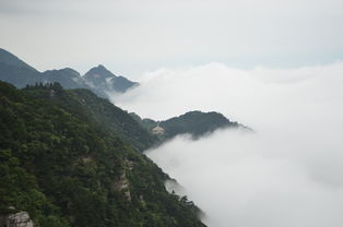 探秘绿色仙境——庐山三日游，一场心肺大呼吸的自然洗礼