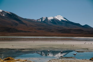 探索千岛之国的神秘魅力，印尼旅游深度指南